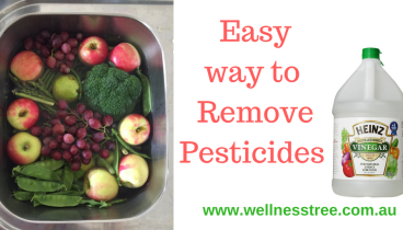 www.wellnesstree.com.au (1)